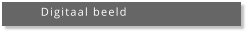 Digitaal beeld