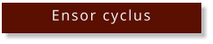 Ensor cyclus