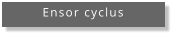 Ensor cyclus