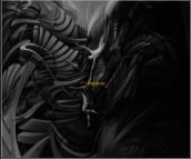 slideshow